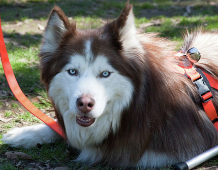 Juneau's handsome face!